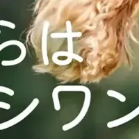 愛犬の健康を守る