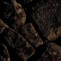 橋本清志写真展