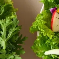 麻婆豆腐サラダ登場