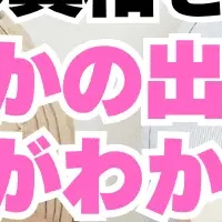 お腹の出方と性別