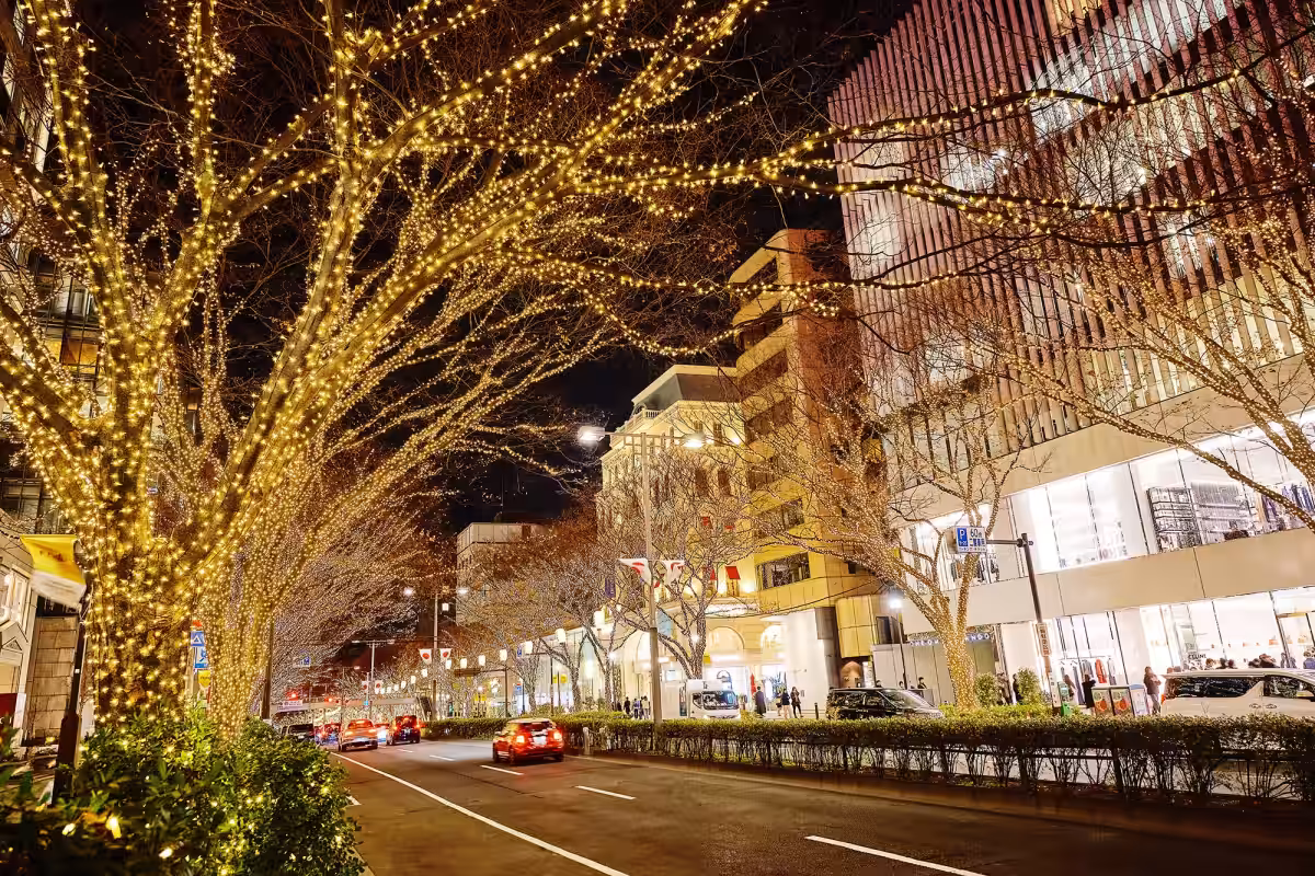 画像20
