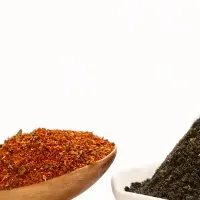 ニューヨーク進出！