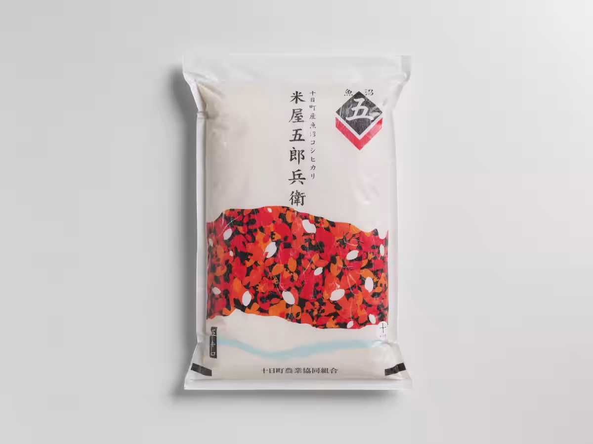 画像5
