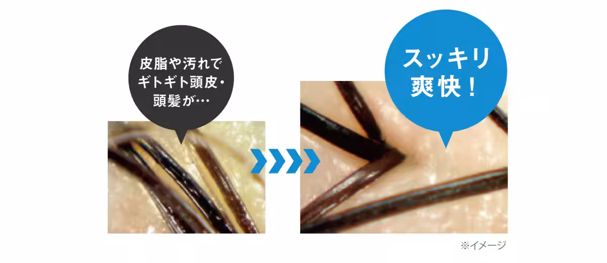 画像12