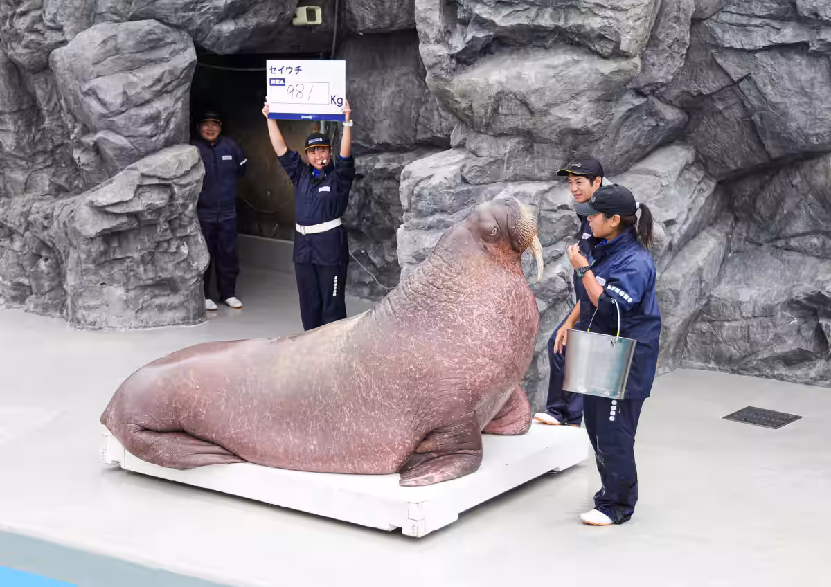 画像7
