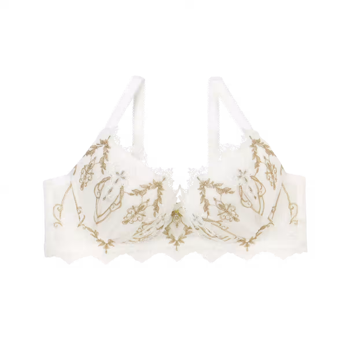 画像19