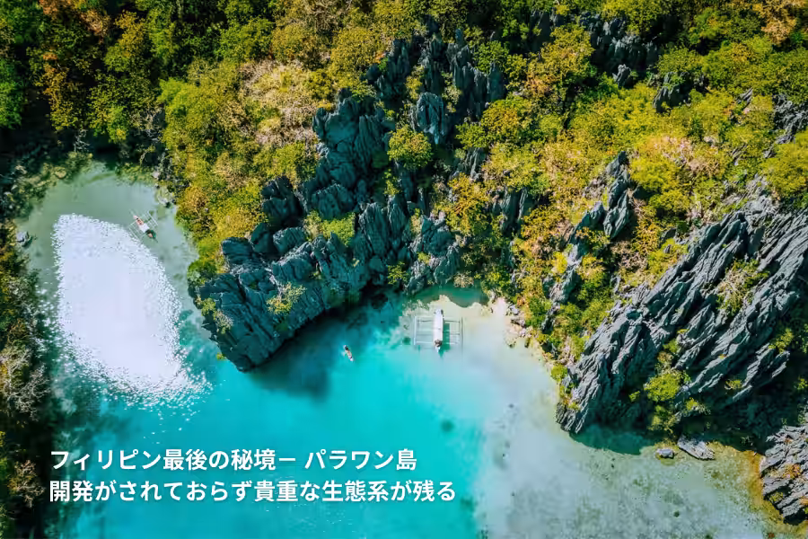 画像10