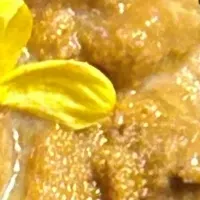 海と食の循環
