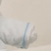 代理さんぬいぐるみ