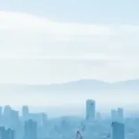 カコムス新サイト