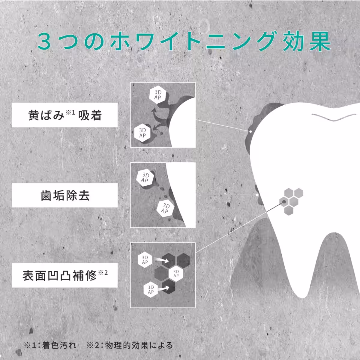 画像11