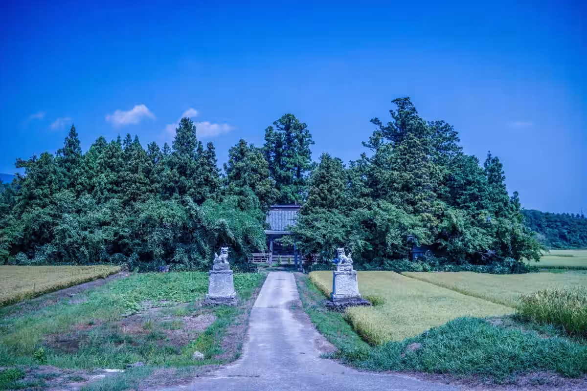 画像1