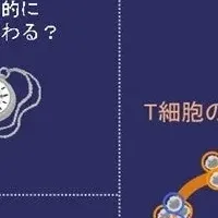 がん免疫療法の新発見