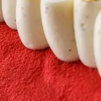 フォーシーズンズの魅力