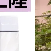 Seven Leaves日本上陸