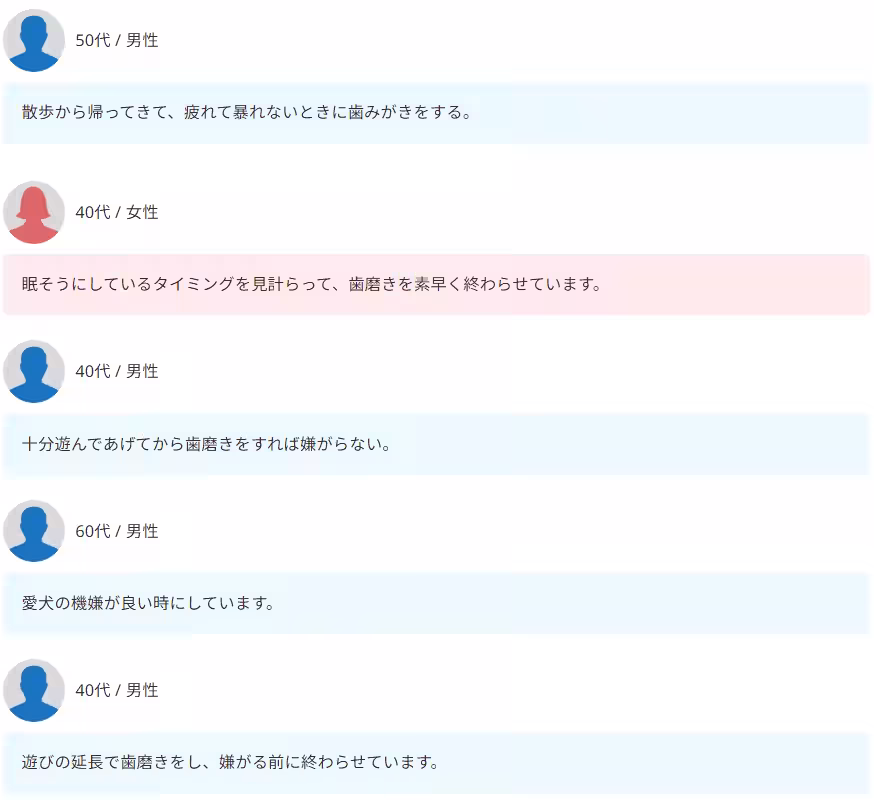 画像11