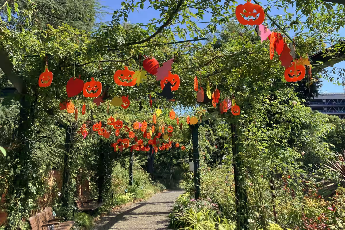 画像6