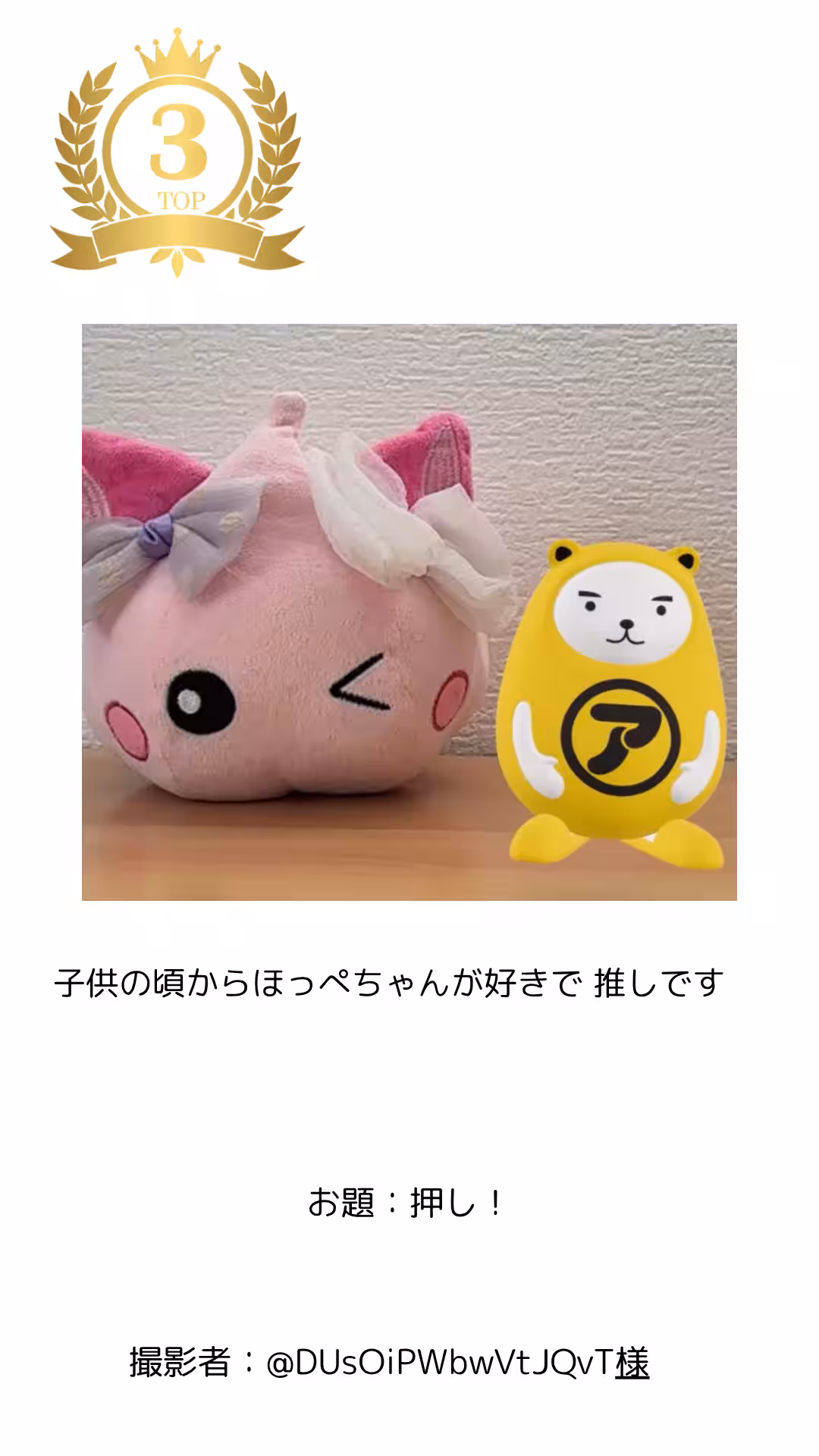 画像12