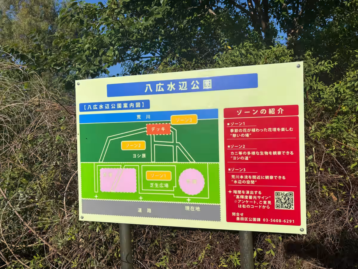 画像14