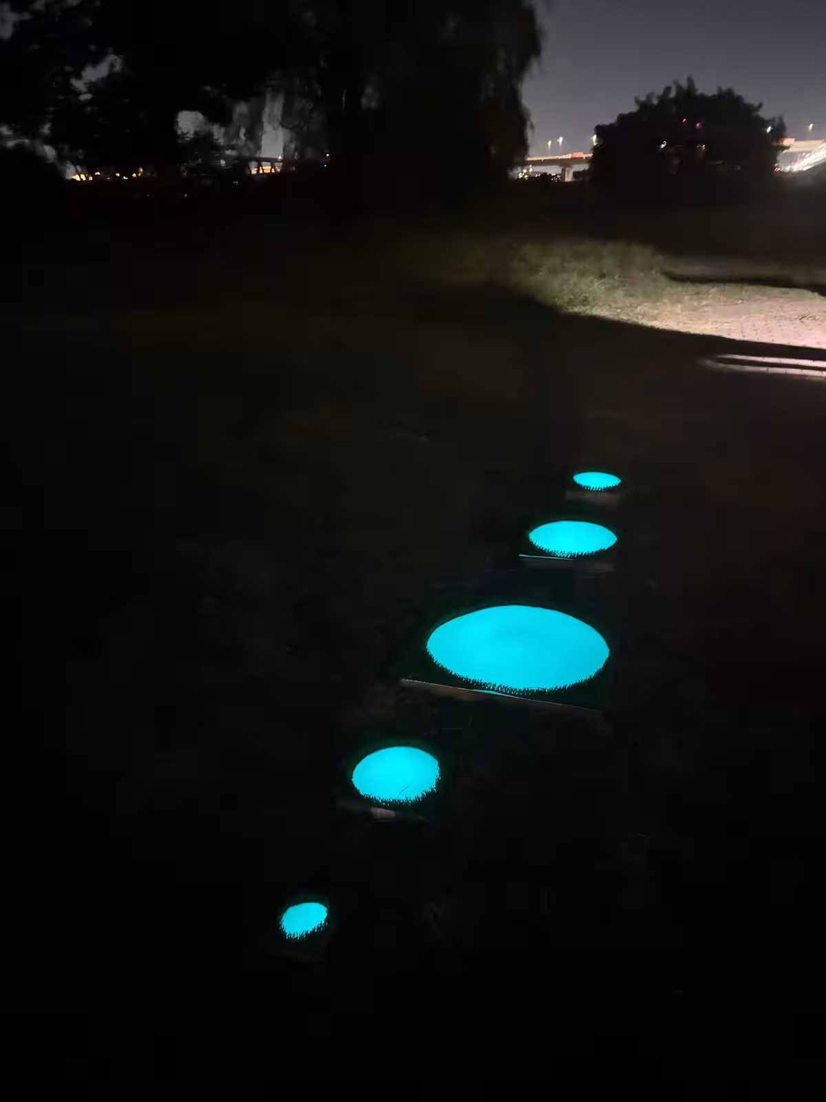 画像23