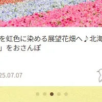 AIでシステム継承