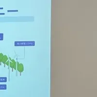 テスホールディングスのIRイベント