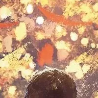 新刊『リヒト！』