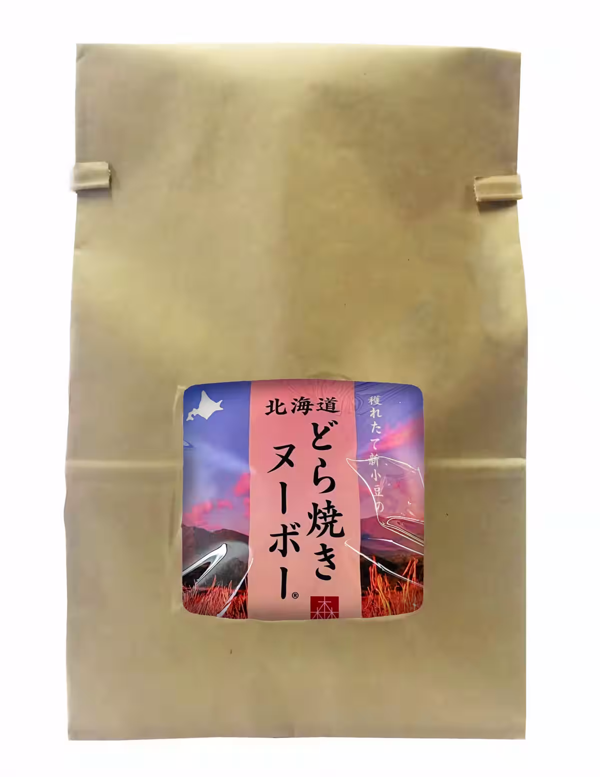 画像15