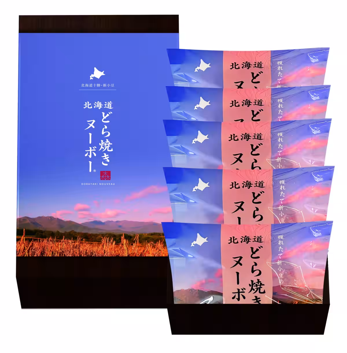 画像16
