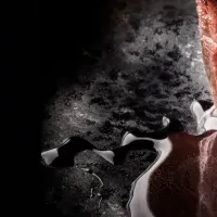 KEI Collectionクリスマス