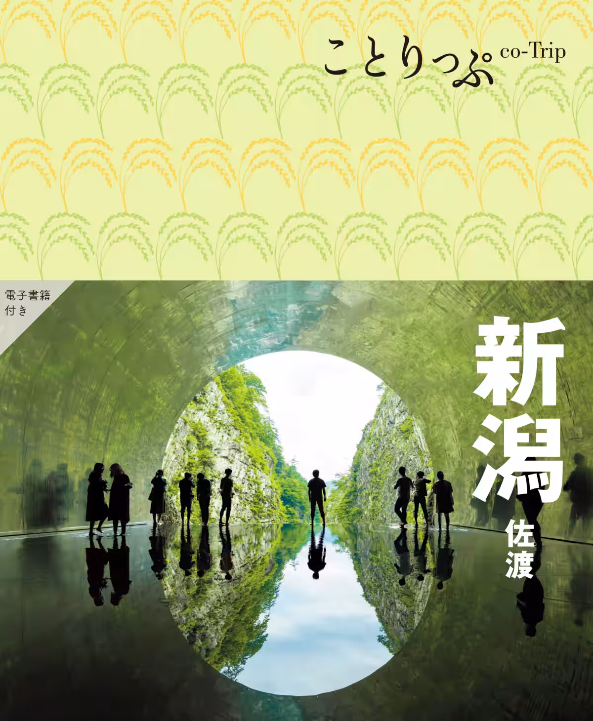 画像13