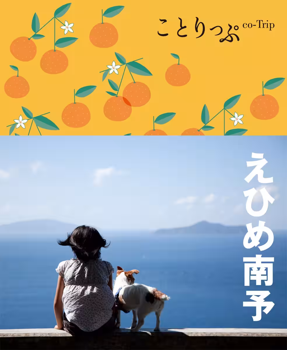画像14