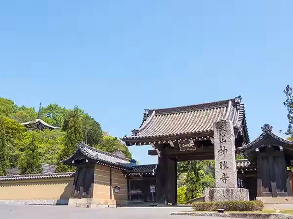 画像6