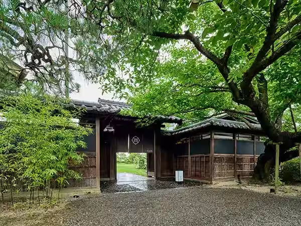 画像9