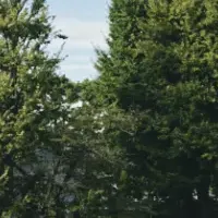 明治学院大学のボランティア大賞