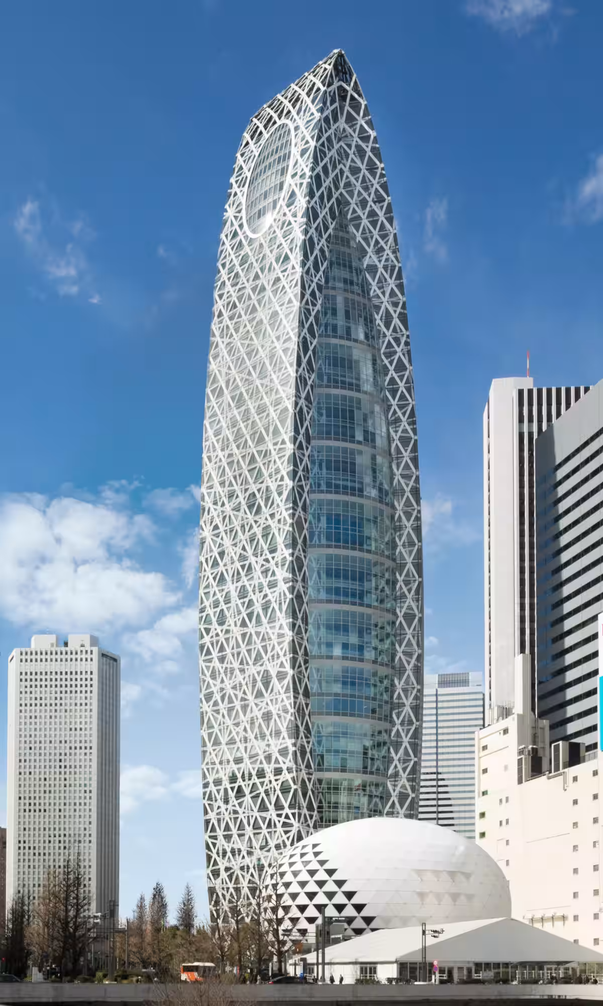 画像9