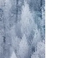 グランドセイコー受賞