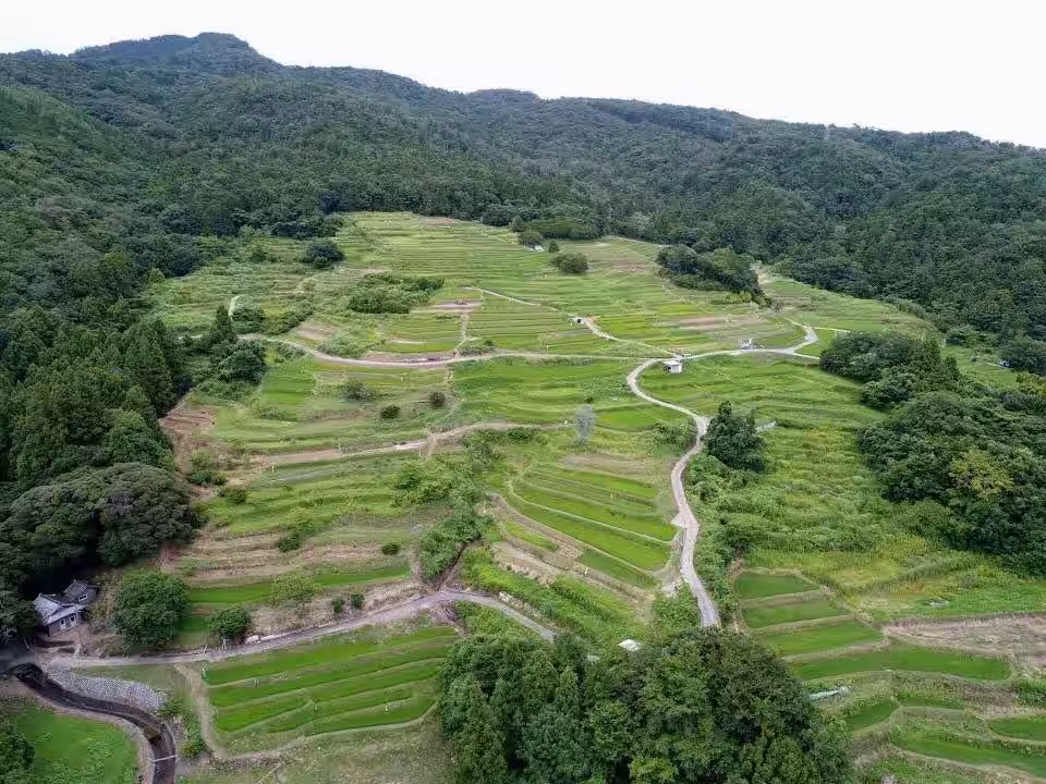 画像13