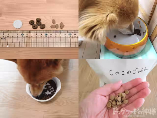 画像2