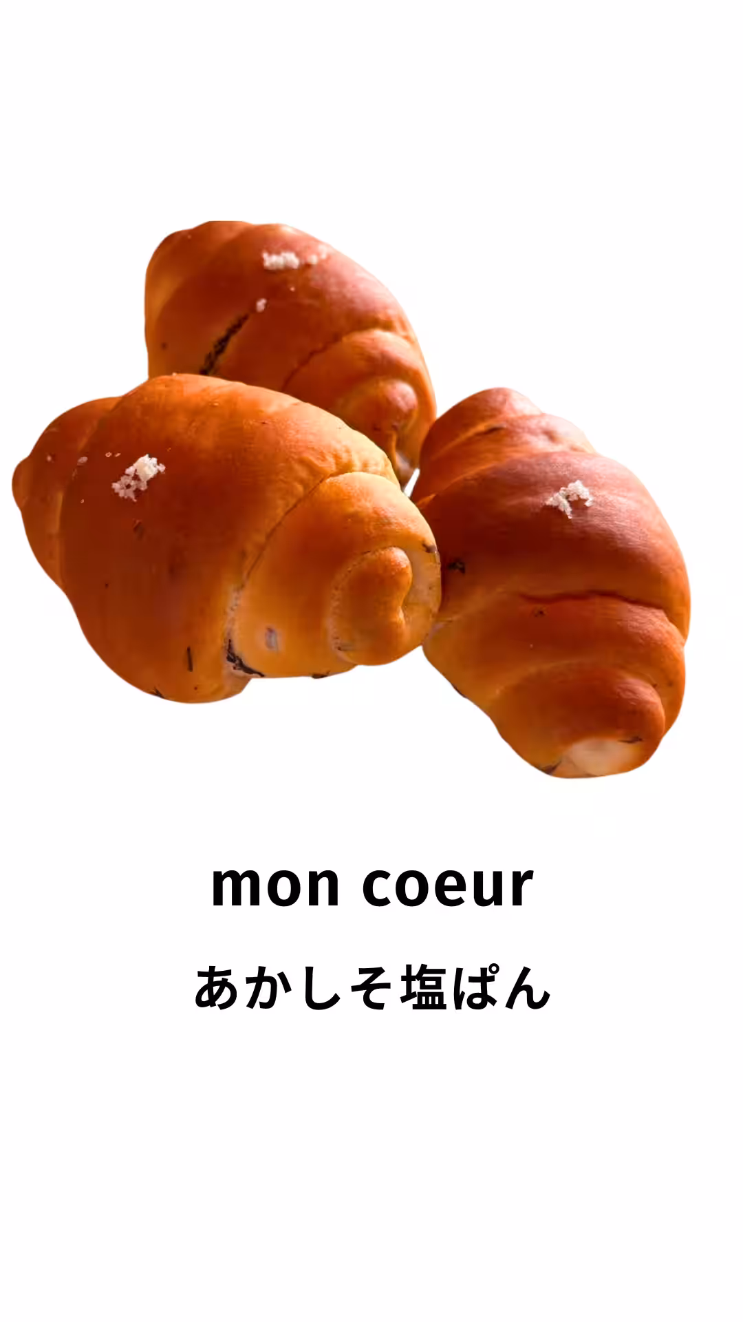 画像15