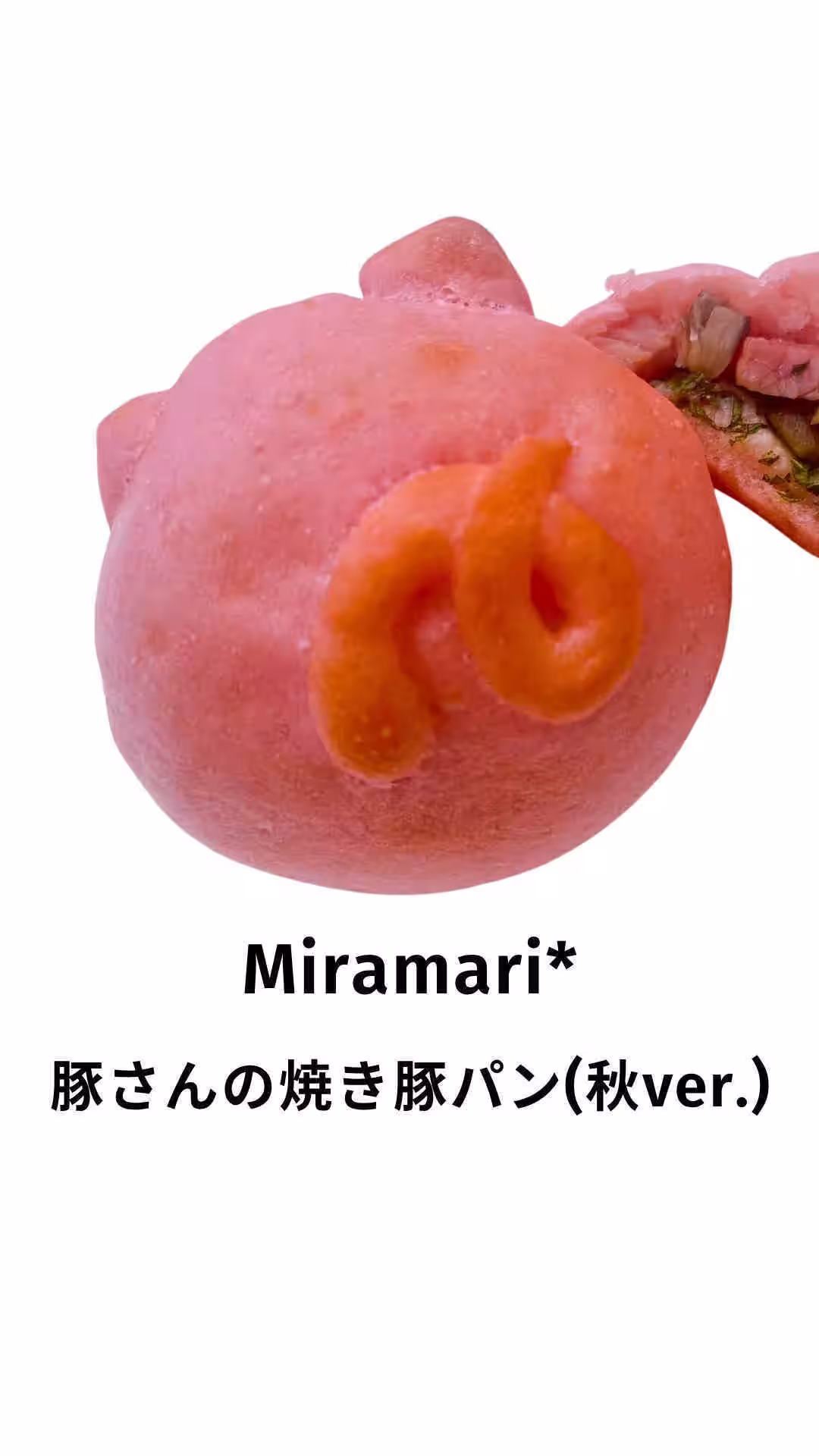 画像14