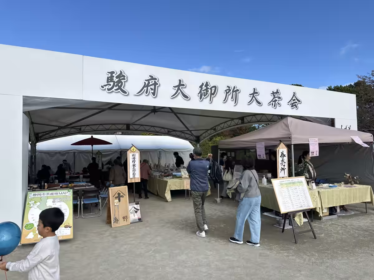 画像7