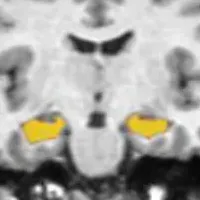 CogSmartが描く未来