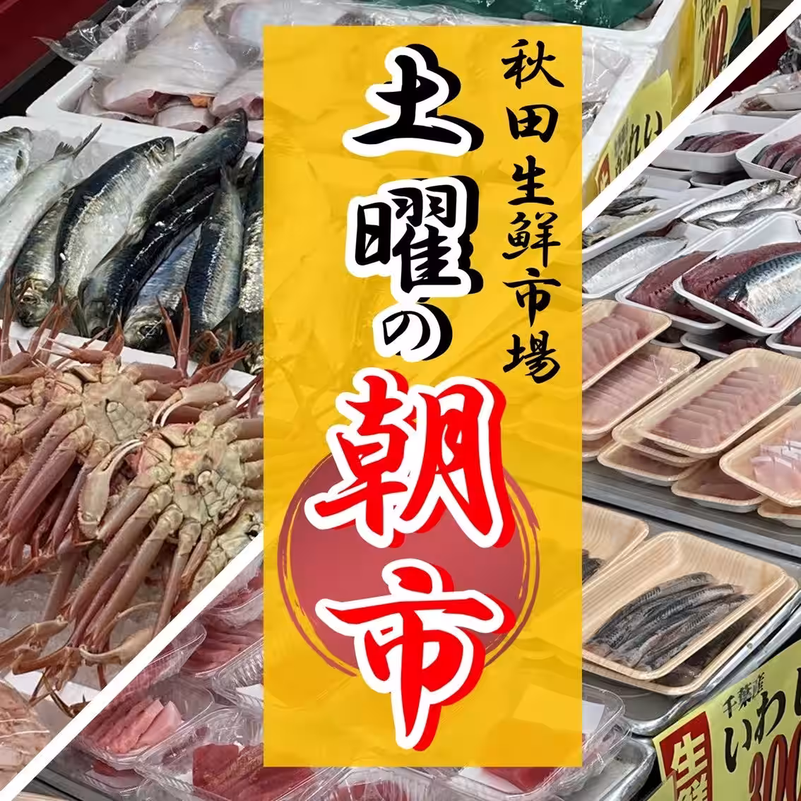 画像11
