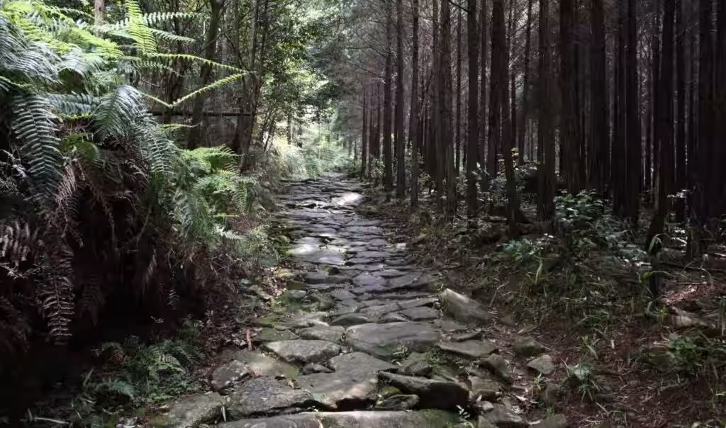 画像25