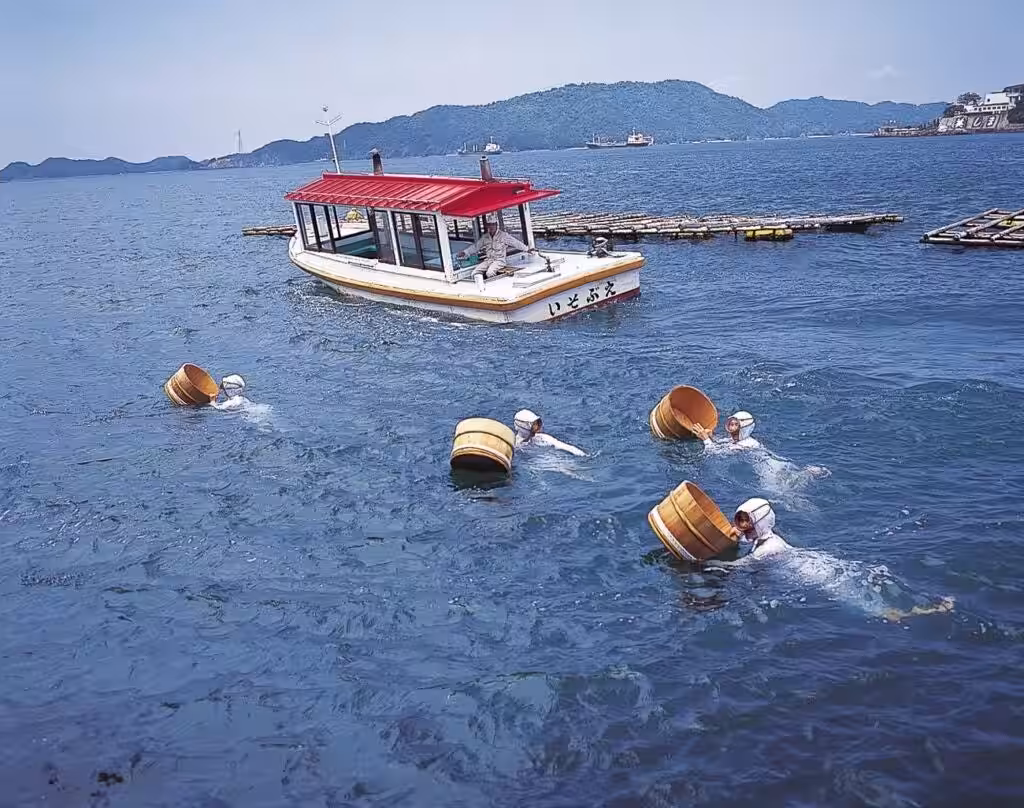 画像14