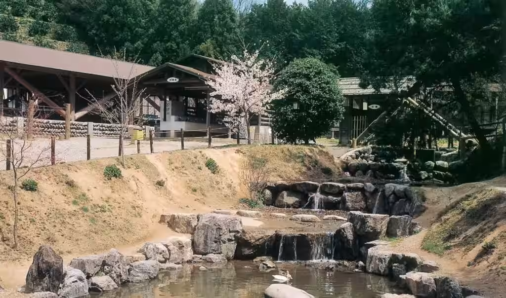 画像9
