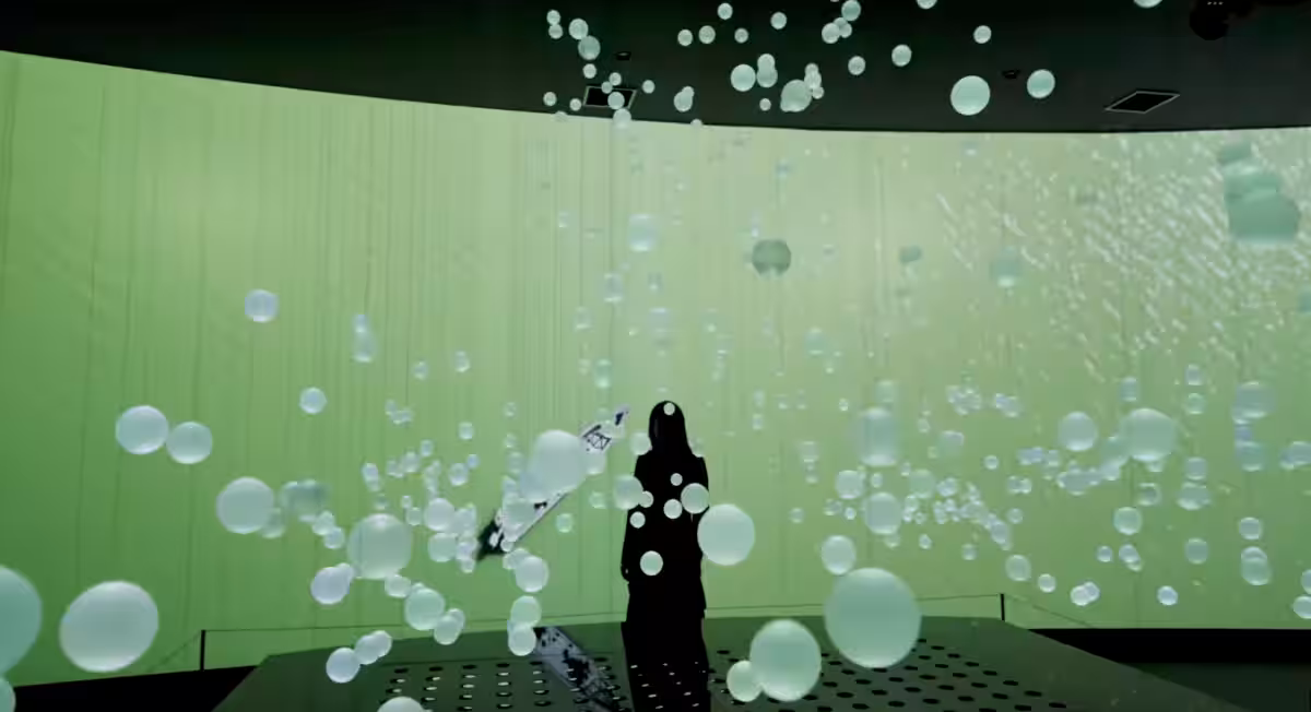 画像8