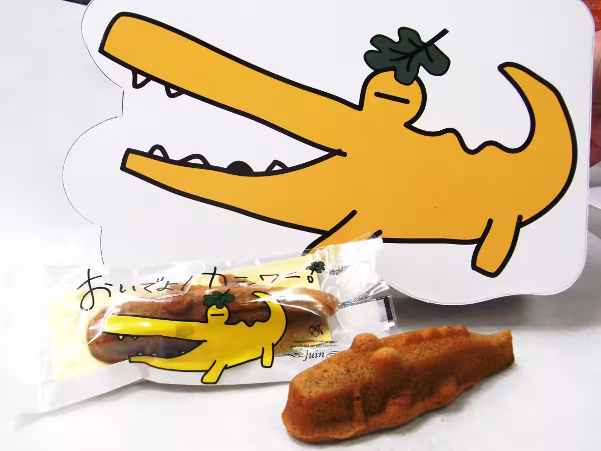 画像8