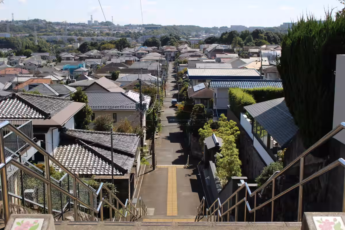 画像6